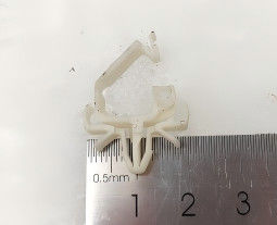 Glory Counter piezas de repuesto GFS-120-89 9*13Φ5*2 Snap